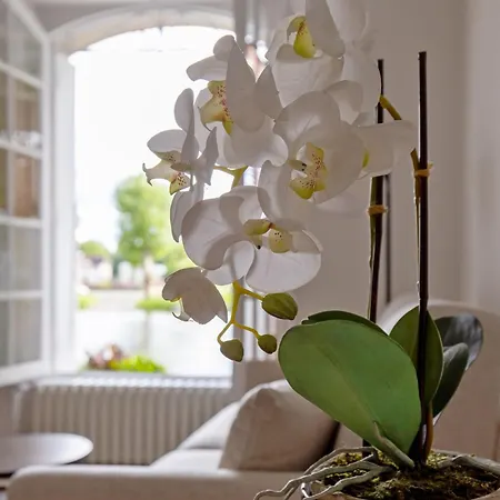 De L'orangerie Apartment *